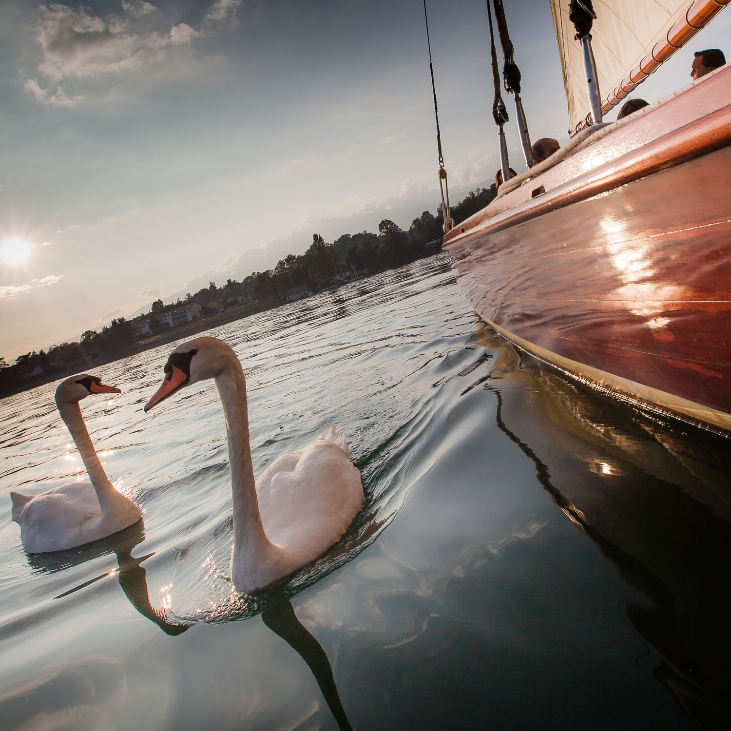 geneva sailing