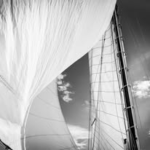 Voile Geneve
